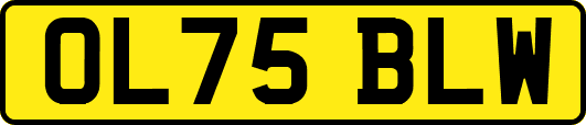 OL75BLW