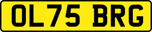 OL75BRG