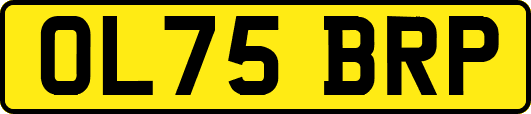 OL75BRP