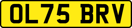 OL75BRV