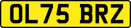 OL75BRZ