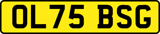 OL75BSG
