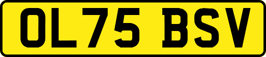 OL75BSV