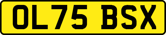 OL75BSX
