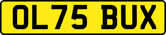 OL75BUX