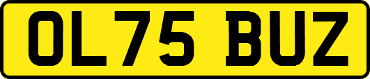 OL75BUZ