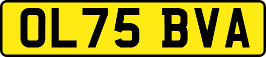 OL75BVA
