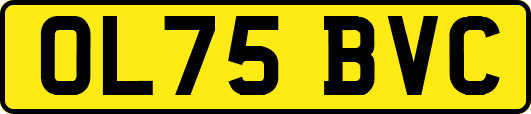OL75BVC