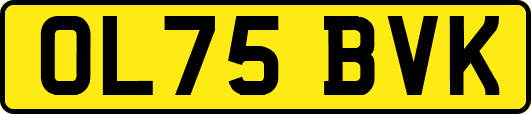 OL75BVK