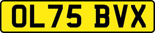 OL75BVX