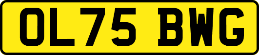 OL75BWG