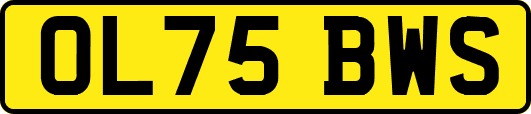 OL75BWS
