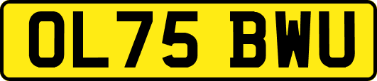 OL75BWU