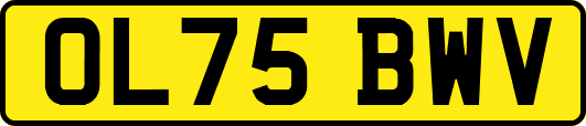 OL75BWV
