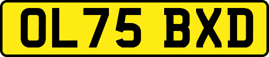 OL75BXD