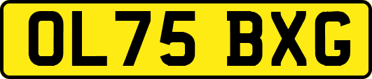OL75BXG