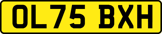 OL75BXH