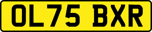 OL75BXR