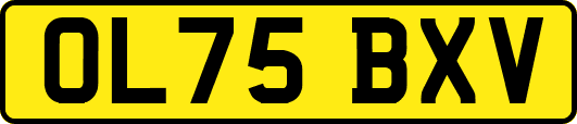 OL75BXV