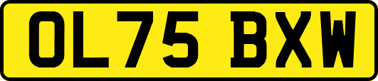 OL75BXW