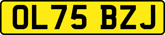 OL75BZJ