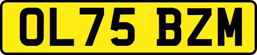 OL75BZM