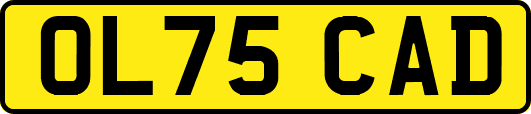 OL75CAD