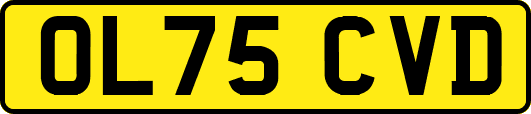 OL75CVD