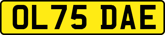 OL75DAE