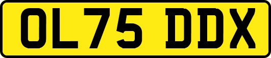 OL75DDX