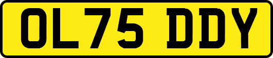 OL75DDY