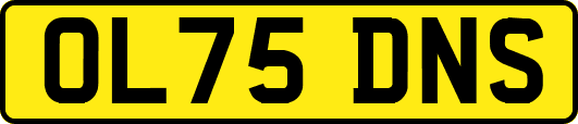 OL75DNS