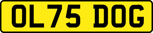 OL75DOG