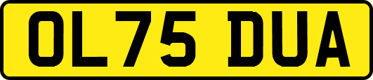 OL75DUA