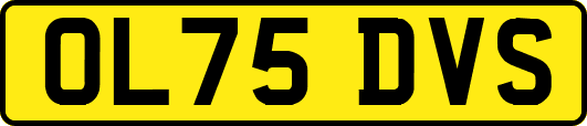 OL75DVS