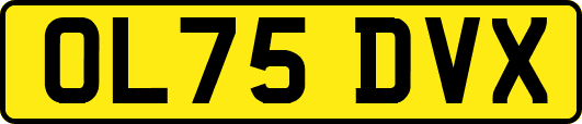 OL75DVX