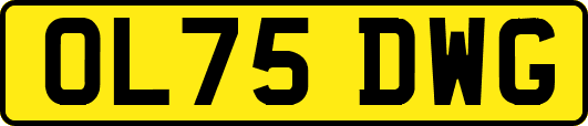 OL75DWG