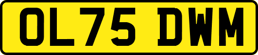 OL75DWM