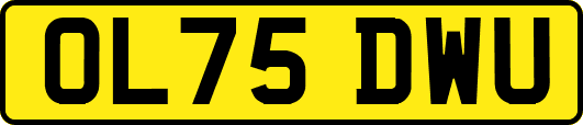 OL75DWU