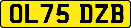 OL75DZB