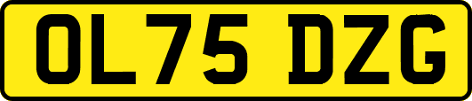 OL75DZG
