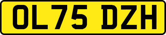 OL75DZH