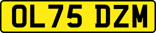 OL75DZM