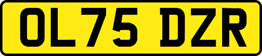 OL75DZR