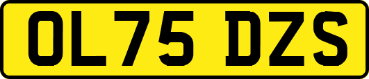 OL75DZS