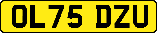 OL75DZU