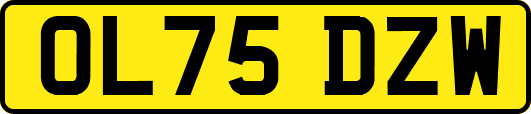 OL75DZW