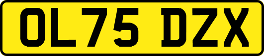OL75DZX