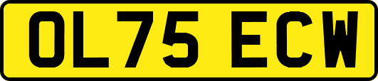 OL75ECW
