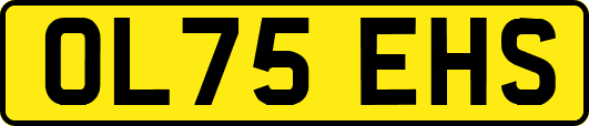 OL75EHS